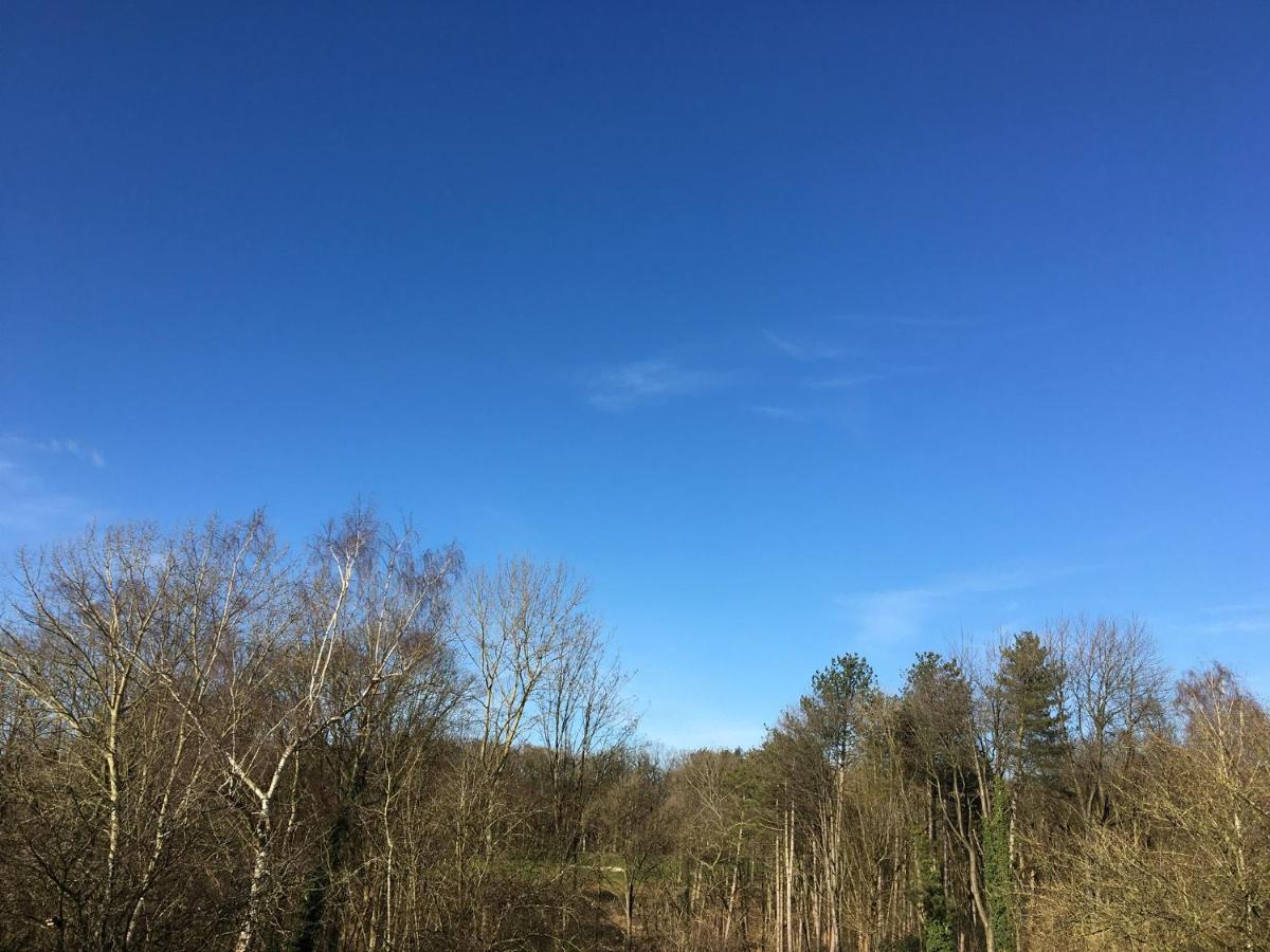 Les Cerises, Charmante Maison Au Calme Wavre Esterno foto